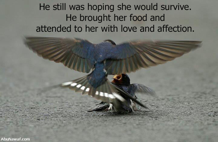 He fed her Food