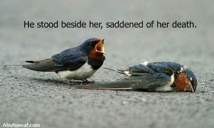 He stood near her body