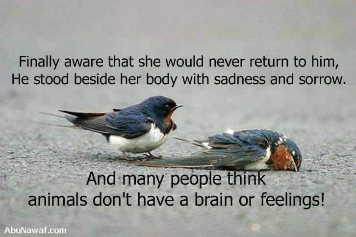 She went not to return but he stood by her side